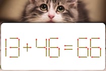 【マッチ棒パズル】「13＋46＝66」を正しくするために1本だけ動かそう♪【毎日脳トレ】