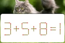 【マッチ棒パズル】この式どこが変？「3＋5＋8＝1」【毎日脳トレ】