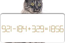 【マッチ棒パズル】1本だけ動かして式を正しくして「921－184＋329＝1856」制限時間は10秒【毎日脳トレ】