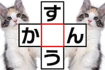 クロスワードで脳トレ♪文字をどんどん入れてみよう【毎日脳トレ】【クイズ】