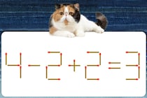 何秒で解けるかな？「4-2+2=3」マッチ棒クイズで脳トレ！【毎日脳トレ】【クイズ】