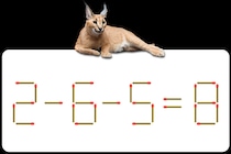 【マッチ棒パズル】これは難しい！「2－6－5=8」何秒で解けるかな？【毎日脳トレ】