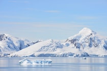 【クイズ】映画『南極物語』にも登場。超有名な「樺太犬の兄弟」の名前は？│この日生まれた有名人もチェック！