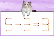 制限時間は5秒！「5-3=9」マッチ棒クイズで脳トレに挑戦！【毎日脳トレ】【クイズ】