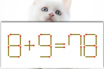 【マッチ棒パズル】難問に挑戦！「8＋9＝78」【毎日脳トレ】