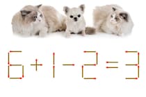 マッチ棒クイズに挑戦！「6+1-2=3」何秒で解けるかな？【毎日脳トレ】【クイズ】