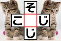 ひらがなをどんどん入れてみて！「そ○じ」「こ○じ」クロスワードで脳トレに挑戦【毎日脳トレ】【クイズ】