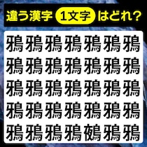 間違い探しで脳トレ！違う漢字はどこ？【毎日脳トレ】
