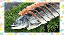 【毎日脳トレ】素朴な疑問クイズ：鮭って赤身魚？