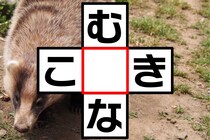 【クロスワード】「む○な」「こ○き」空欄に入る文字は？【毎日脳トレ】