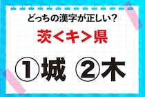 【毎日脳トレ】「茨＜キ＞県」の正しい漢字は？