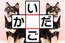 3文字クロスワード「い○ご」「か○だ」脳トレに挑戦♪【毎日脳トレ】【クイズ】