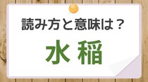 【毎日脳トレ】〔水稲〕読めるかな？　意味も知ってる？