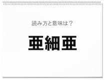 【毎日脳トレ】読めますか？　知っておきたい漢字の読みと意味（初級）