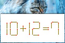 【マッチ棒パズル】難問に挑戦！「10＋12＝7」【毎日脳トレ】