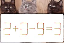 【マッチ棒パズル】難問に挑戦！「2＋0－9=3」この問題何秒で解けるかな？【毎日脳トレ】