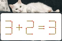 これは簡単？「3＋2＝3」マッチ棒を1本動かして正しい式にしましょう【毎日脳トレ】【クイズ】