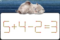 マッチ棒クイズに挑戦！「5+4-2=3」何秒で解けるかな？【毎日脳トレ】【クイズ】