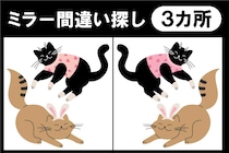 間違い探しで脳トレ！3カ所の違いはどこ？【毎日脳トレ】【クイズ】