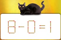 マッチ棒クイズ初級編！「8-0=1」正しい式にできる？【毎日脳トレ】【クイズ】