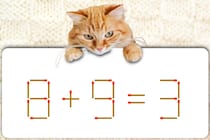 マッチ棒クイズで脳トレしよう！「8+9=3」正しい式にできるかな？【毎日脳トレ】【クイズ】