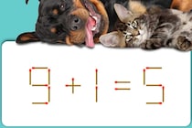 「9＋1＝5」この計算おかしくない？マッチ1本で正しくしよう！【毎日脳トレ】【クイズ】