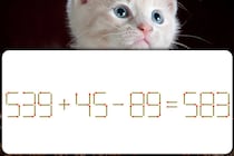 【マッチ棒パズル】マッチ棒１本だけ動かそう「539＋45－89＝583」5秒で正しくできるかな？【毎日脳トレ】