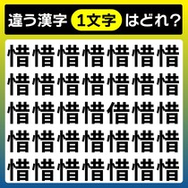 【間違い探し】10秒で「惜」と違う1文字を当てて【毎日脳トレ】
