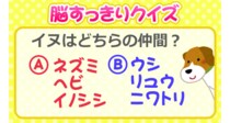 意外と分からない!?「ひらめきが大事！」イヌはどっちのナカマ？【毎日脳トレ】【クイズ】