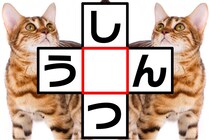 「し○つ」「う○ん」空欄に共通する文字は？クロスワードで脳トレ！【毎日脳トレ】【クイズ】