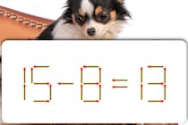 【マッチ棒パズル】どれだけ早く解けますか？「15－8＝13」動かせるのは1本のみ！【毎日脳トレ】
