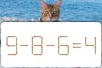 【マッチ棒パズル】ちょっと難しい！「9−8−6=4」この問題解けるかな？【毎日脳トレ】