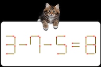 【マッチ棒パズル】1本だけ動かしてね！「3－7－5=8」何秒で解けるかな？【毎日脳トレ】