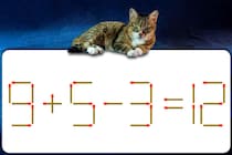 【マッチ棒パズル】アハ体験ですっきり♪「9＋5－3＝12」1本動かして正解にたどり着けますか？【毎日脳トレ】