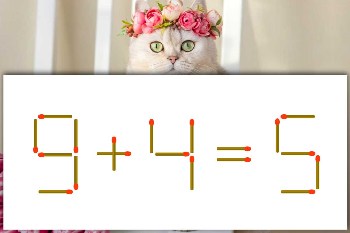 マッチ棒パズル】パッと直感チャレンジ「9＋4＝5」1本だけで正解