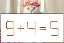 【マッチ棒パズル】パッと直感チャレンジ「9＋4＝5」1本だけで正解して♪【毎日脳トレ】