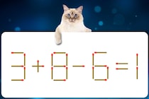 マッチ棒クイズで脳トレ！「3+8-6=1」10秒で解いてみよう！【毎日脳トレ】【クイズ】