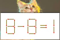 【マッチ棒パズル】正しい式にしてみよう！「8－8＝1」【毎日脳トレ】