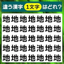 パッと見つけられたらすごい！漢字間違い探しに挑戦【毎日脳トレ】【クイズ】