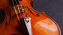 博識なあなたならわかるはず！「ピチ●ー●」バイオリンの弦を指ではじいて鳴らす演奏法の名前は？【毎日脳トレ】【クイズ】