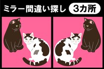 2匹の猫ちゃん♪3か所の違いはどこかな？間違い探しで脳トレ！【毎日脳トレ】【クイズ】