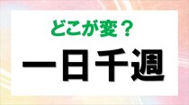 【毎日脳トレ】間違っているのはどこ？「一日千週」