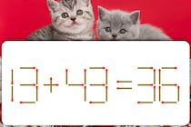 【マッチ棒パズル】正しい式にして！「13＋43=36」【毎日脳トレ】