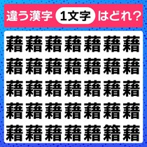 ゆっくり探そう♪制限時間は50秒！漢字間違い探し♪【毎日脳トレ】【クイズ】