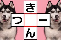 クロスワードに挑戦！「き○ん」「つ○ー」共通する文字はなに？【毎日脳トレ】【クイズ】