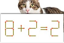【マッチ棒パズル】1本だけ動かして！「8＋2=2」正しい式にできる？【毎日脳トレ】
