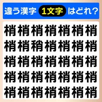 【間違い探し】違う漢字は何が紛れているかな？「梢」木の幹や枝の先という意味があります【毎日脳トレ】