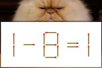 【マッチ棒パズル】正しい式にしよう！「1－8＝1」【毎日脳トレ】