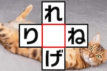 3秒でわかったらスゴイ！「れ○げ」「り○ね」空欄に入る文字は？【毎日脳トレ】【クイズ】