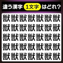 【間違い探し】違う文字はどこかな？【毎日脳トレ】